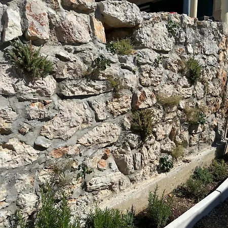 Barci Case de vacanță