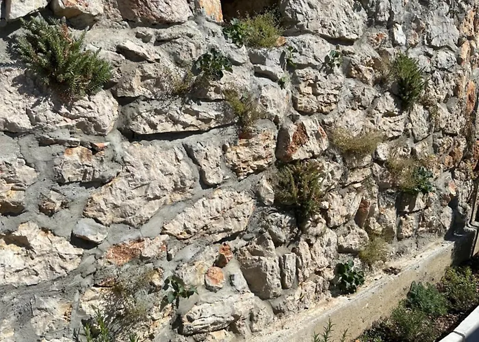 Barci Дом отдыха